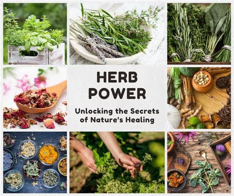 Herbal Magic: Spells and Potions for Health, Wealth, and Happiness